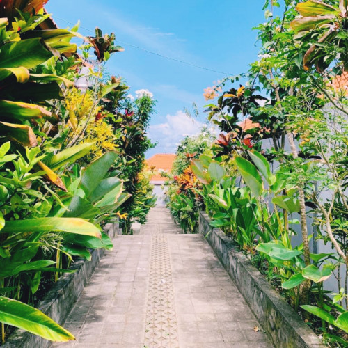 Pandawa Beach Homestay — home stay desa di Indonesia