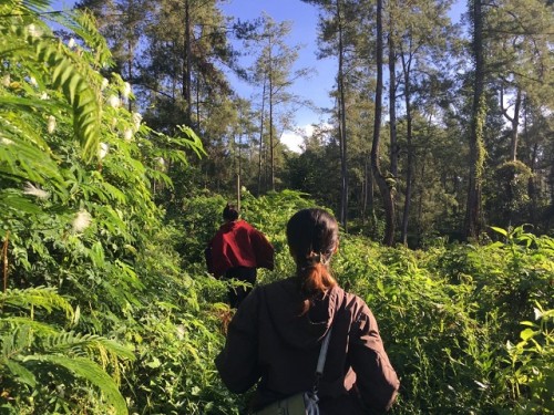 Adventure Journey : Trekking in Sacred Forest of Tenganan Village — paket tur desa di Indonesia