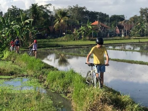 Menelusuri Keindahan Desa Kaba-kaba Dengan Bersepeda — paket tur desa di Indonesia