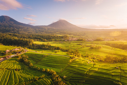 Explore the Nature in Jatiluwih Village
