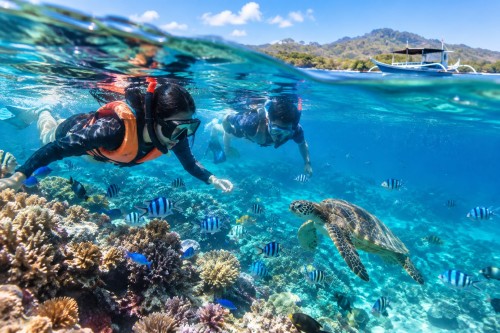 Petualangan Snorkeling Pemuteran: Jelajahi Keindahan Bawah Laut Bali — paket tur desa di Indonesia