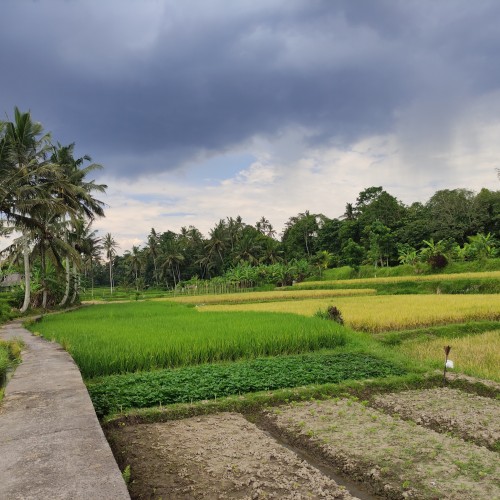 Pejeng Kangin Village — destinasi desa wisata di Indonesia