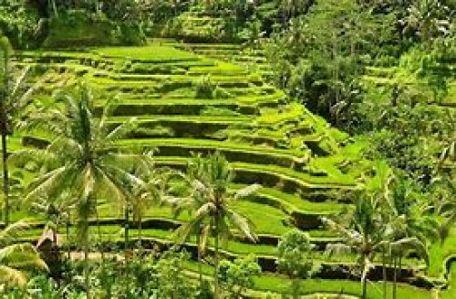 Keliki Village — destinasi desa wisata di Indonesia